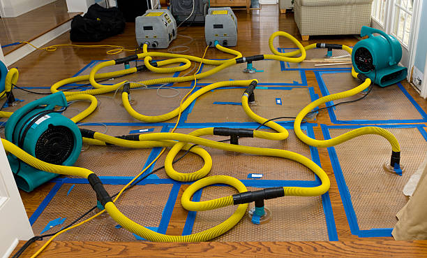 Professional Crawl Space Water Removal technician working in Hickory Corners, MI